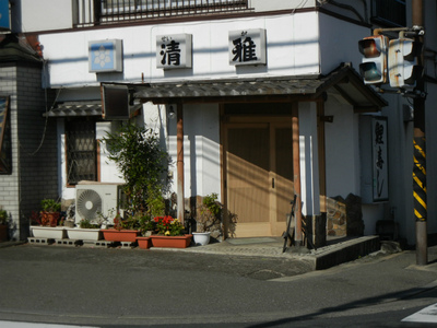 清雅.jpg