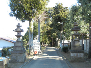 DSCN0668.jpg