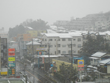 DSCN0694.jpg