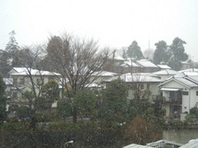 DSCN0696.jpg