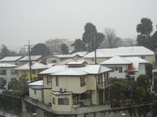 DSCN0697.jpg