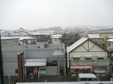 DSCN0698.jpg
