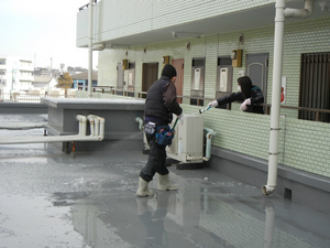 DSCN0765.jpg