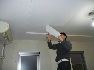 DSCN0768.jpg