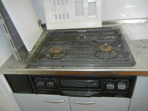 DSCN0795.jpg