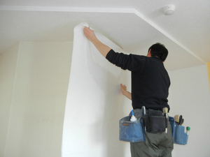 DSCN0805.jpg