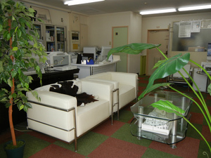 DSCN0618.jpg
