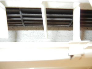 DSCN0969.jpg