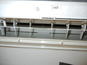 DSCN0974.jpg