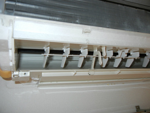 DSCN0975.jpg