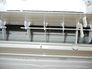 DSCN0976.jpg