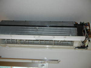DSCN0977.jpg