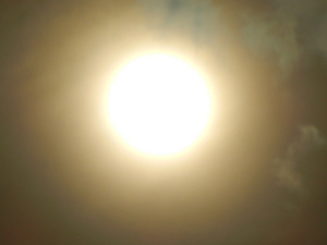 DSCN1201.jpg