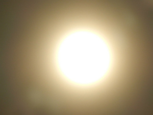 DSCN1203.jpg