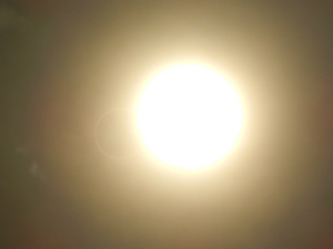 DSCN1207.jpg