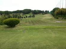 20130504_112158.jpg