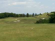 20130504_121302.jpg