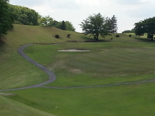 20130504_131317.jpg