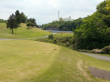 20130504_132207.jpg