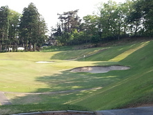 20130504_152215.jpg
