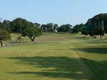 20130504_154405.jpg