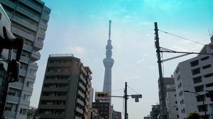20130605_091715.jpg
