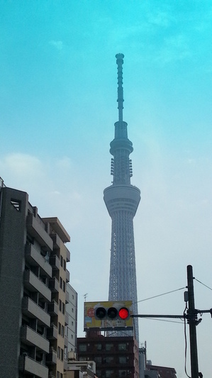 20130605_091722.jpg