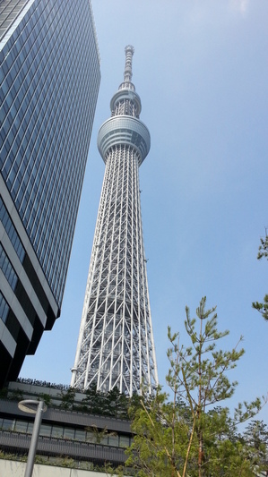 20130605_092841.jpg