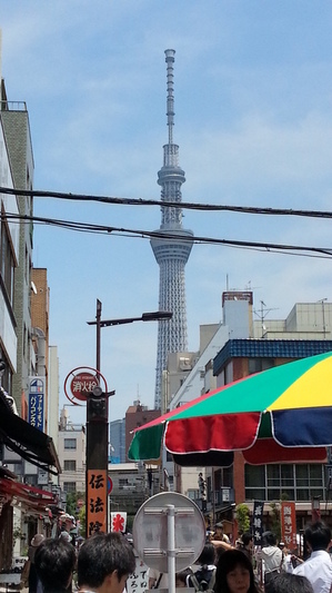 20130605_122938.jpg