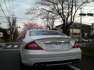 P1020145.JPG